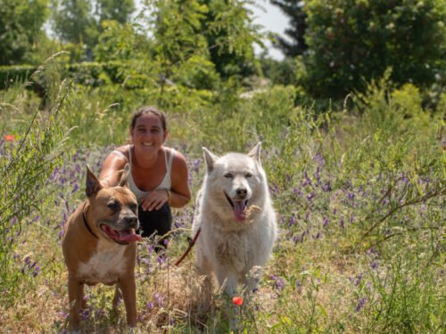 DSC_0480 Online cursus: NOOIT meer trekken aan de lijn.