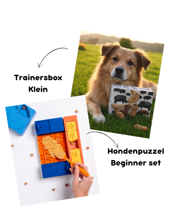 Trainers voor in de puzzel (10)