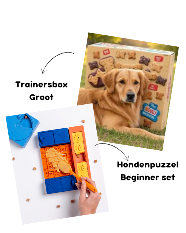 Trainers voor in de puzzel (9)