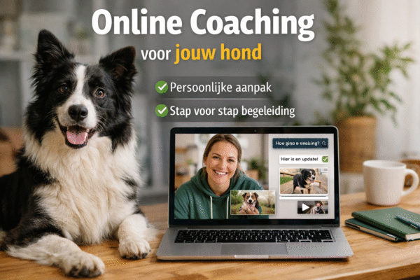 Online gedragsbegeleiding/ Premium pakket.